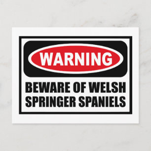 Carte Postale Avertissement ATTENTION DE WELSH SPRINGER SPANIELS