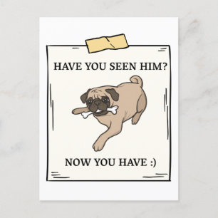 Carte Postale Avez-Vous Vu Le Chien Maintenant Vous Avez Un Anim