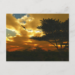 Carte postale Avions africains