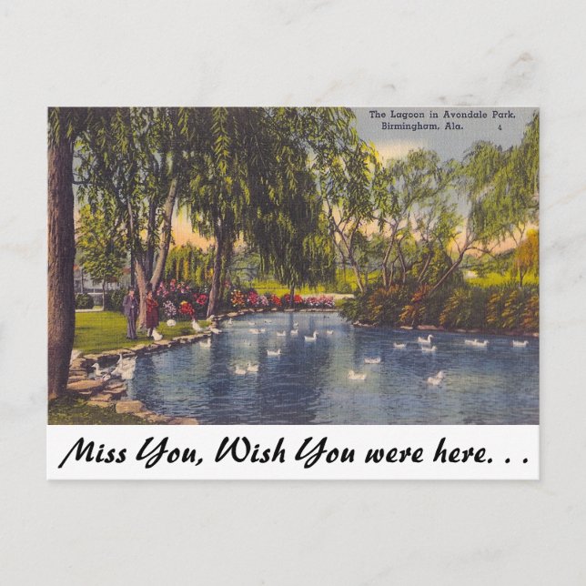 Carte Postale Avondale Park, Birmingham, AL (Devant)