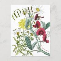 Avril Mois Fleurs Douceur Pois Daisy Fancy