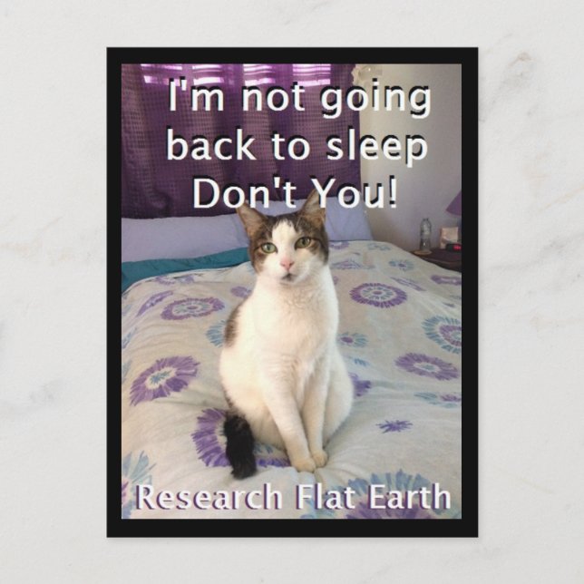 Carte postale Awake Layla (Devant)