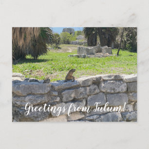 Carte Postale aWorld2Celebrate : Salutations de Tulum!