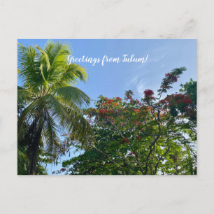 Carte Postale aWorld2Celebrate : Salutations de Tulum!