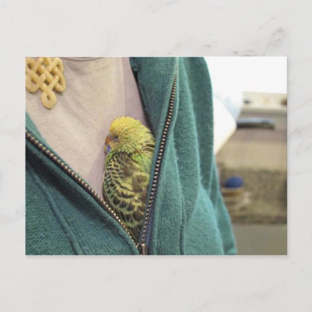 Carte Postale Awwww, So Mignon ! ! ! ! ! ! ! ! ! ! (Devant)