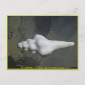 Carte Postale Axe Shell de Maui,