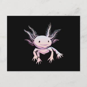 Carte Postale Axolotl