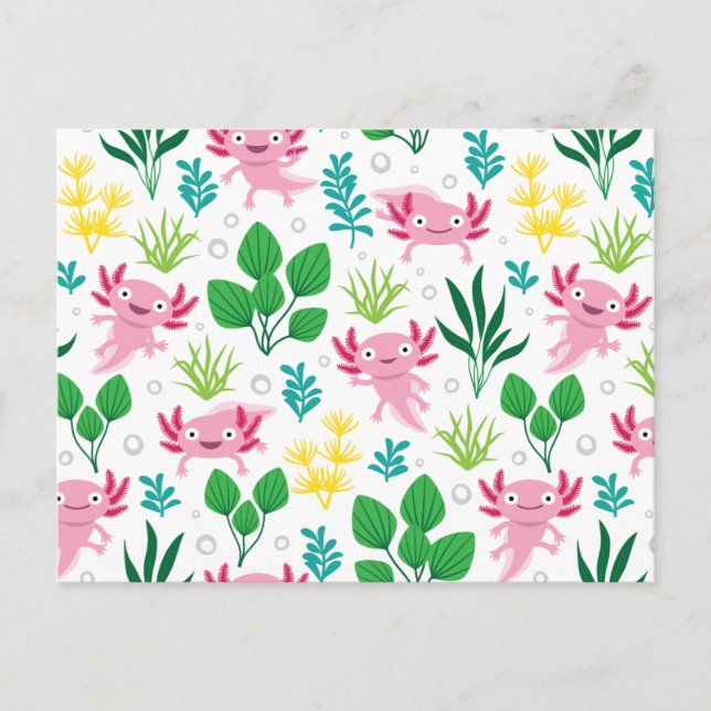 Carte Postale Axolotl (Devant)