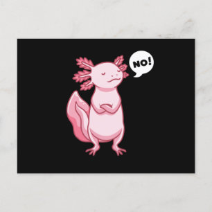 Carte Postale Axolotl Avec Animal Stuffé Dans Le Style Kawaii