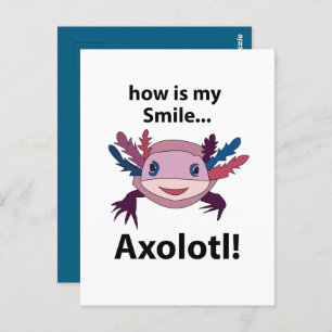 Carte Postale Axolotl Comment Mon Sourire Est Drôle Axolotl