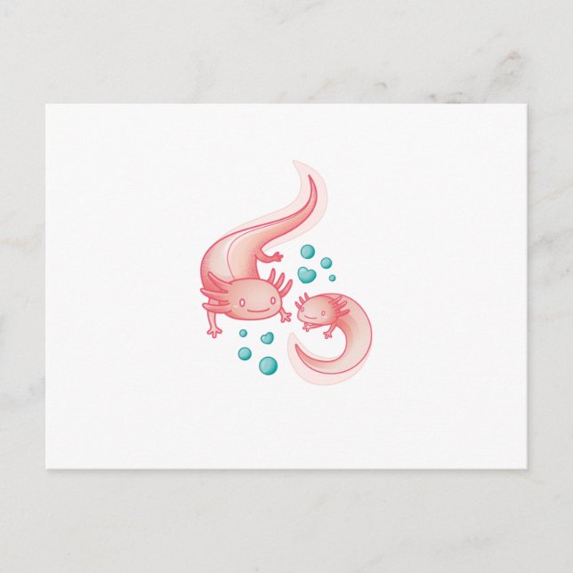 Carte Postale Axolotls (Devant)