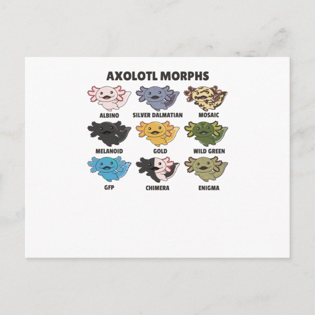 Carte Postale Axolotls Du Monde Sweet Animaux Axolotl (Devant)