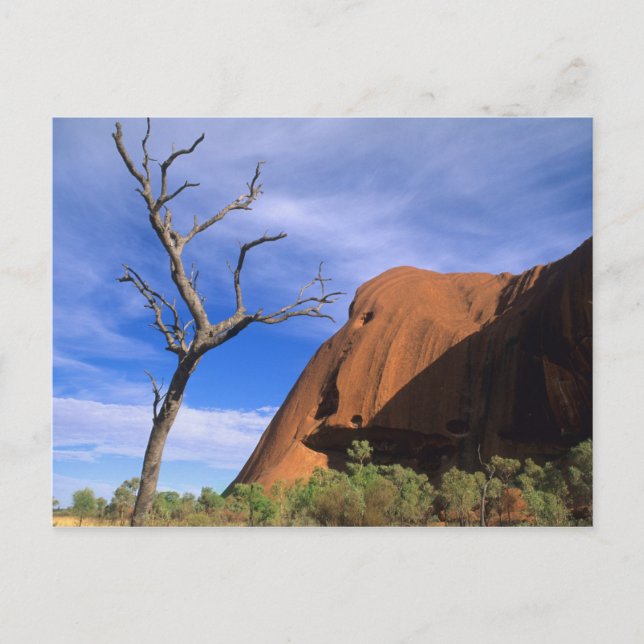 Carte Postale Ayers Rock Uluru dans l'Outback Australie (Devant)