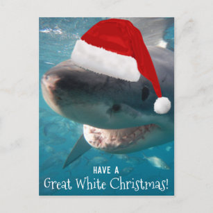 Carte Postale Ayez un grand blanc Noël Funny Shark Australie