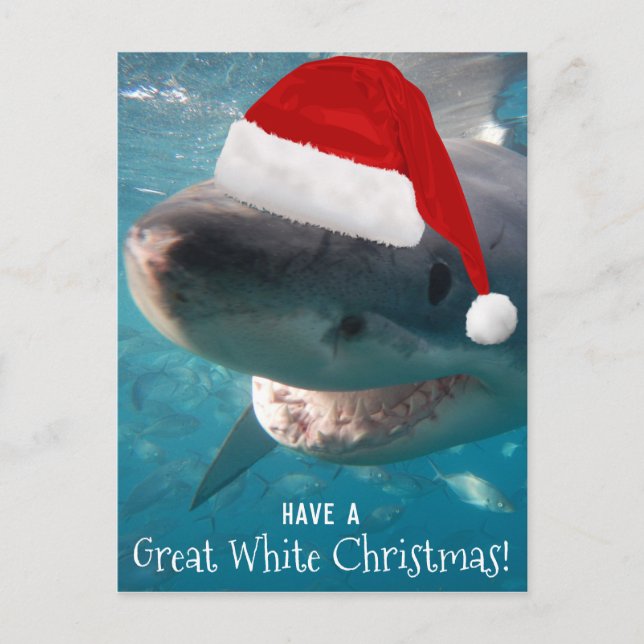 Carte Postale Ayez un grand blanc Noël Funny Shark Australie (Devant)