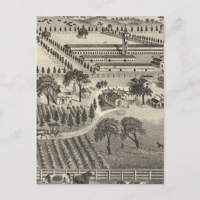 Carte Postale Ayrshire Farm (Devant)