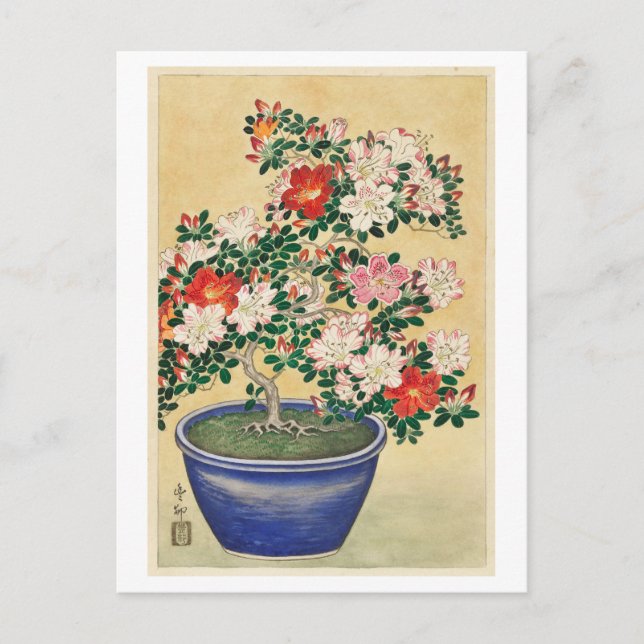Carte Postale Azalée en floraison en Pot bleu Coupe de bois Vint (Devant)