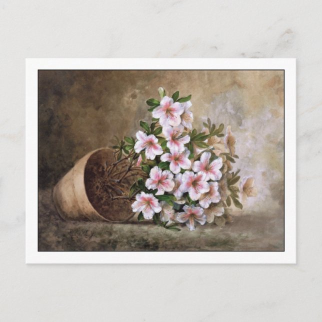 Carte Postale Azalées blanches Fine Art Nature morte Paul de Lon (Devant)