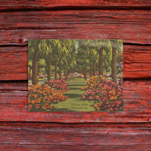 Carte Postale Azalées et palmiers de Victory Dr Savannah GA rétr