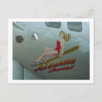 B-17 "Aluminium Overcast" Nez Art