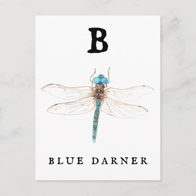 Carte Postale "B" Bleu Darner (Devant)