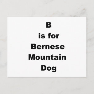 Carte Postale b est pour bernois de montagne