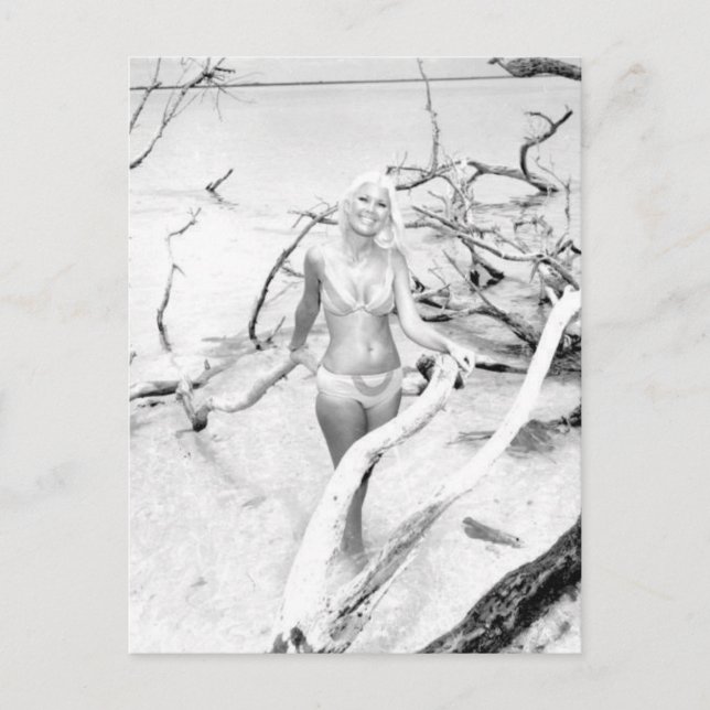 Carte Postale B&W vintage Photo Floride Bikini Girls (Devant)