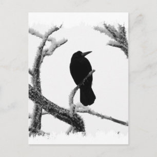 Carte Postale B&W Winter Raven Edgar Allan Poe