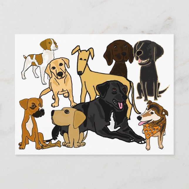 Carte postale BA - Chiens de Chien de Chien (Devant)