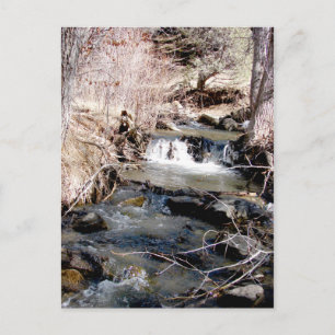 Carte Postale Babbling Brook