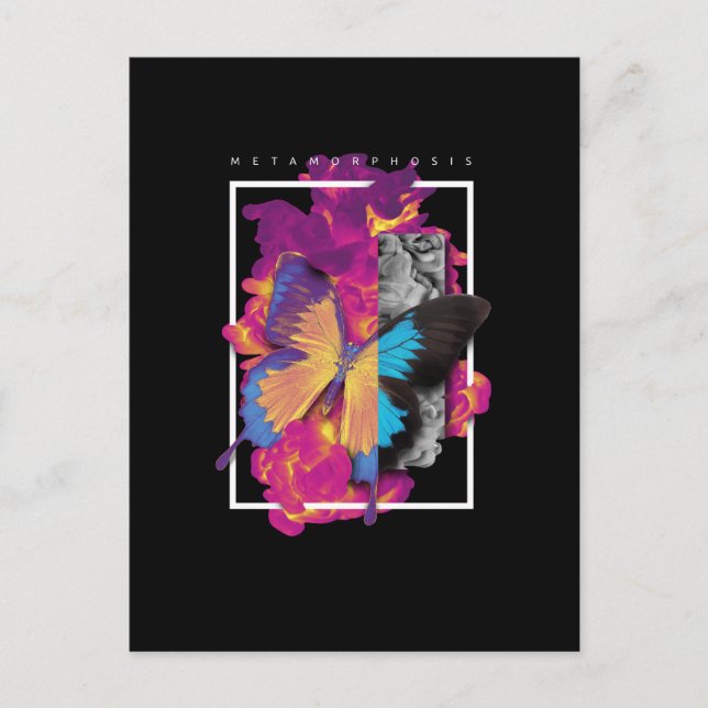 Carte Postale Babfly (Devant)