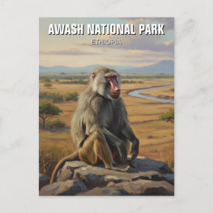 Carte Postale Baboon dans le Parc National d'Awash Éthiopie Voya