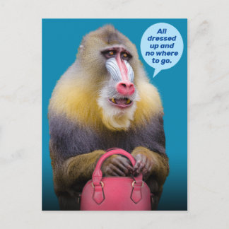 Carte Postale Baboon Drôle Tout Habillé - Pas D'Endroit Où Aller