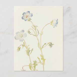 Carte Postale Baby Blue-Eyes par Margaret Armstrong