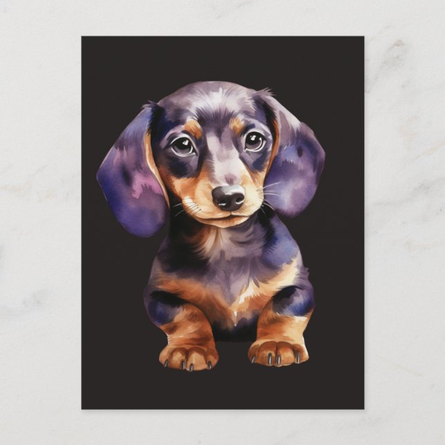 Carte Postale Baby Dachshund (Devant)