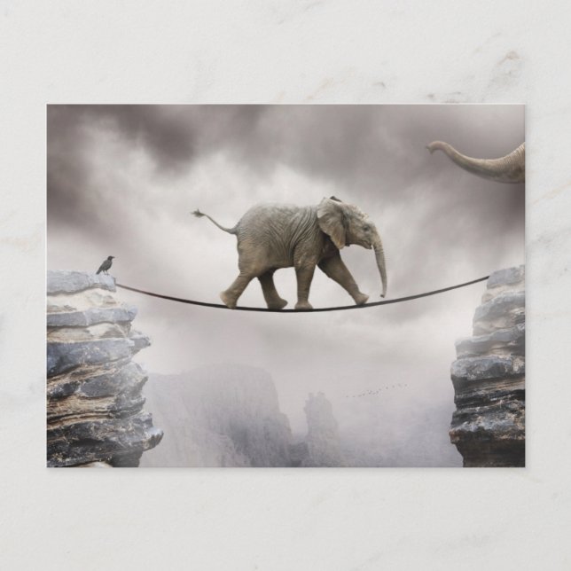 Carte Postale Baby Elephant Walks The Tightrope (Devant)