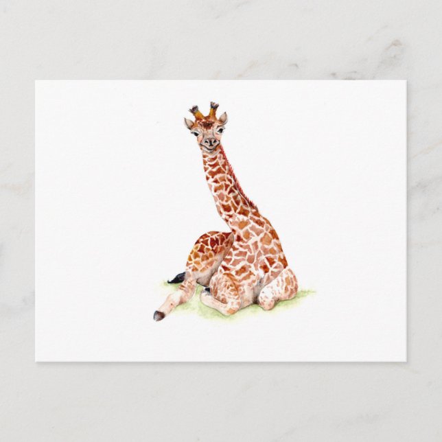 Carte Postale Baby Giraffe (Devant)