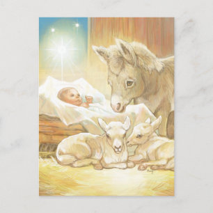 Carte Postale Baby Jesus Nativity with Lambs and Donkey