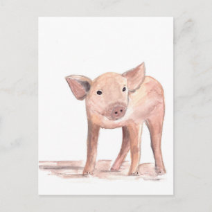 Carte Postale Baby porcelet cochon art aquarelle animal ferme mi
