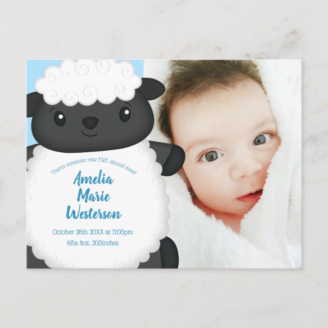 Carte Postale Baby shower de mouton ferme Blue Boy (Devant)