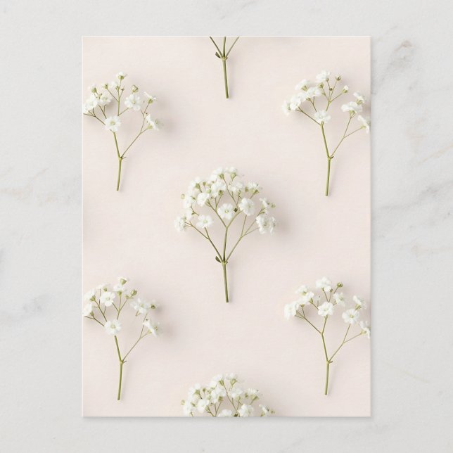 Carte Postale Baby's Breath Delicate Neutral Pattern (Devant)