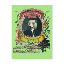 Bach Funny Sheep Great Animal Composer Bach