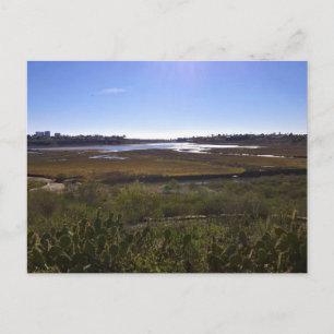 Carte Postale Back Bay, Newport Beach, Californie