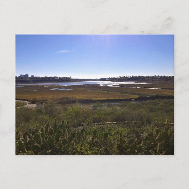 Carte Postale Back Bay, Newport Beach, Californie (Devant)