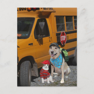 Carte Postale Back to school