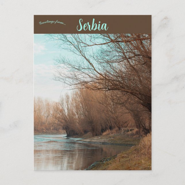 Carte Postale Backa Palanka Serbie (Devant)