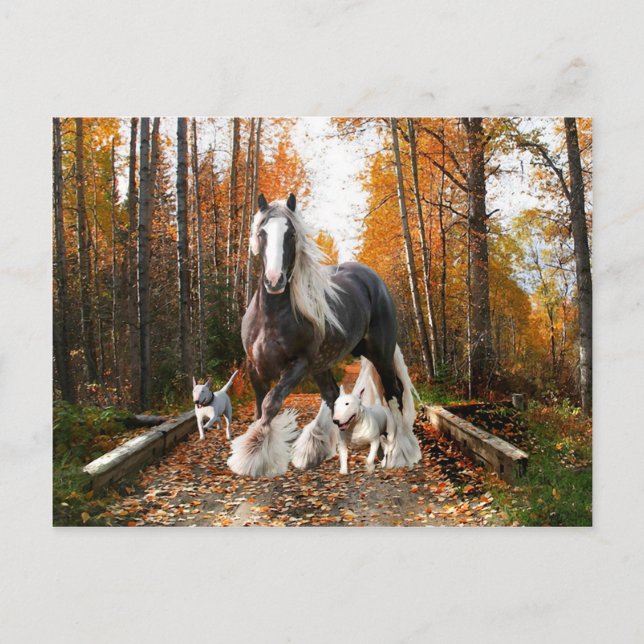 Carte postale "Backroads Ramble" (Devant)