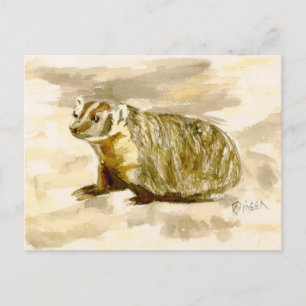 Carte postale Badger