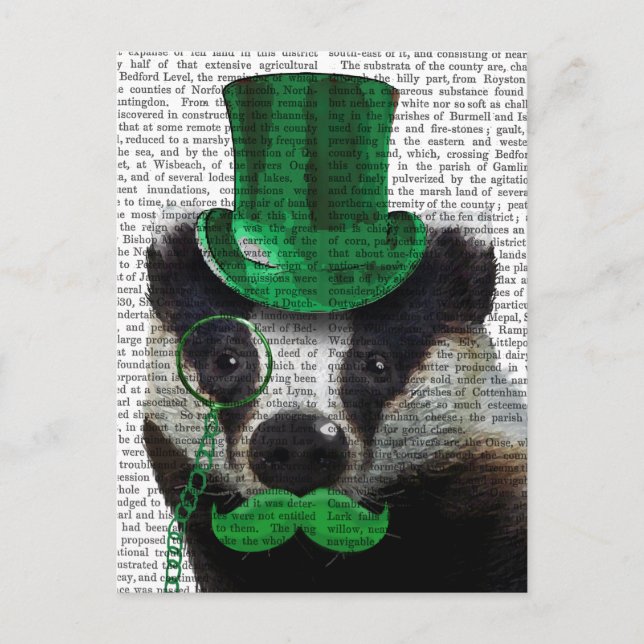Carte Postale Badger avec chapeau vert et moustache (Devant)