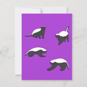 Carte Postale Badgers de miel